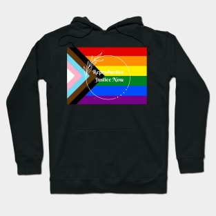 Reproductive Justice Now Pride Flag Hoodie